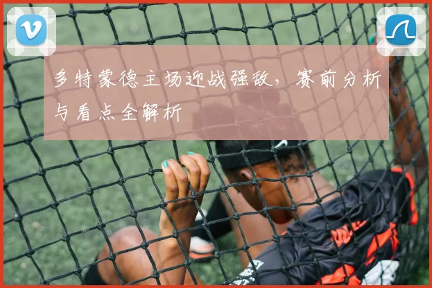 多特蒙德主场迎战强敌，赛前分析与看点全解析