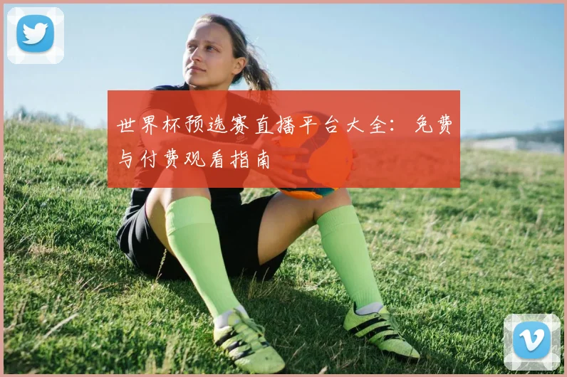 世界杯预选赛直播平台大全：免费与付费观看指南