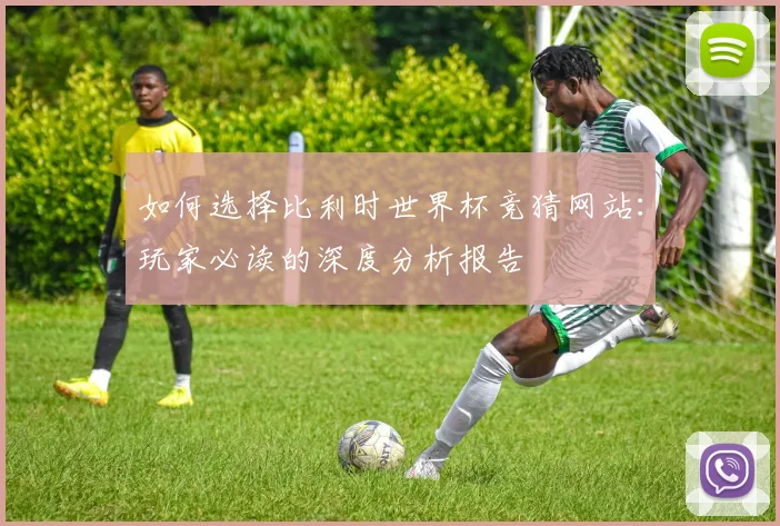 如何选择比利时世界杯竞猜网站:玩家必读的深度分析报告