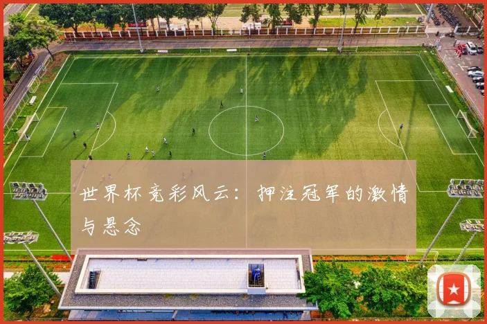 世界杯竞彩风云：押注冠军的激情与悬念