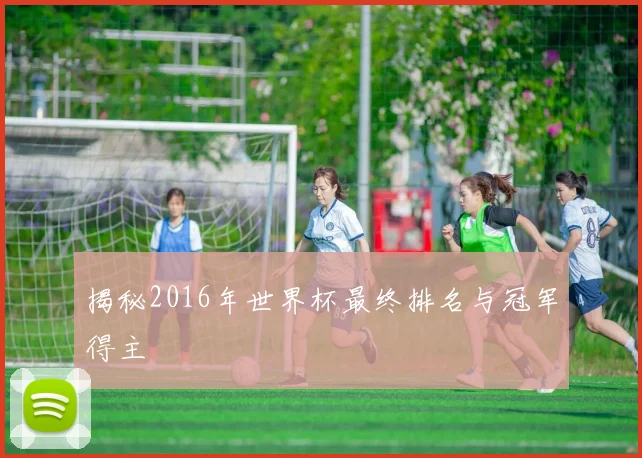 揭秘2016年世界杯最终排名与冠军得主